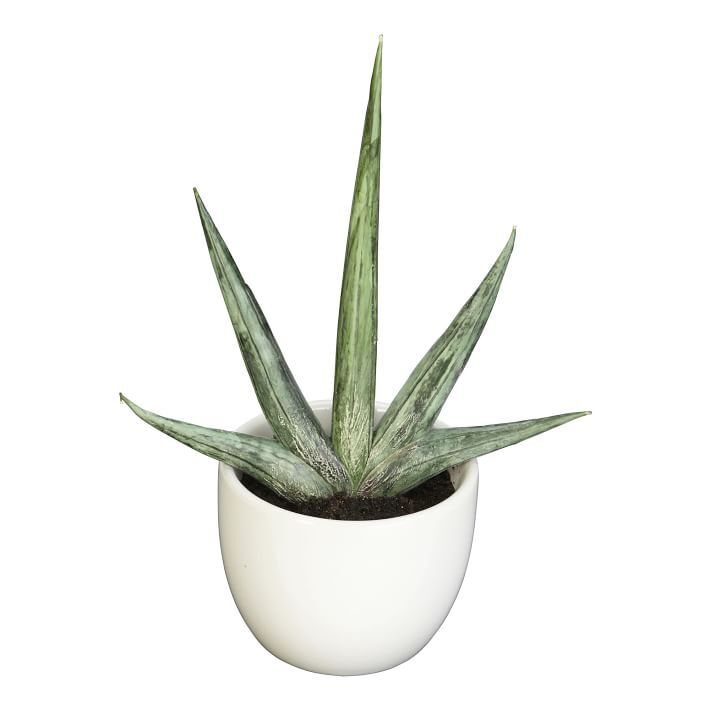 Faux Potted Southwest Plants Set of 3 — view 1